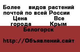 Более200 видов растений почтой по всей России › Цена ­ 100-500 - Все города  »    . Крым,Белогорск